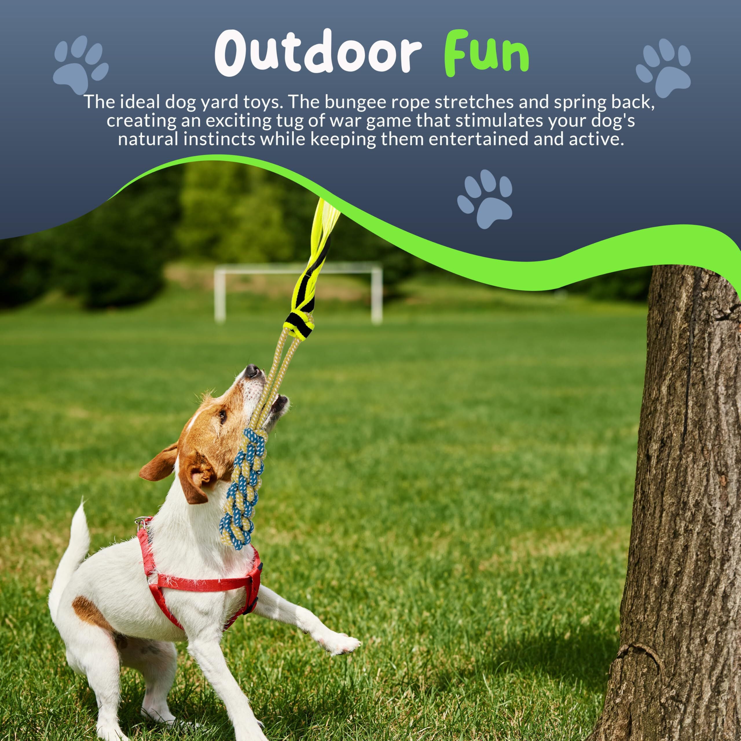 Petite Paws Tree Rope Toy for Dogs — Bungee Tug War Toy for Outdoor Exercise & Play