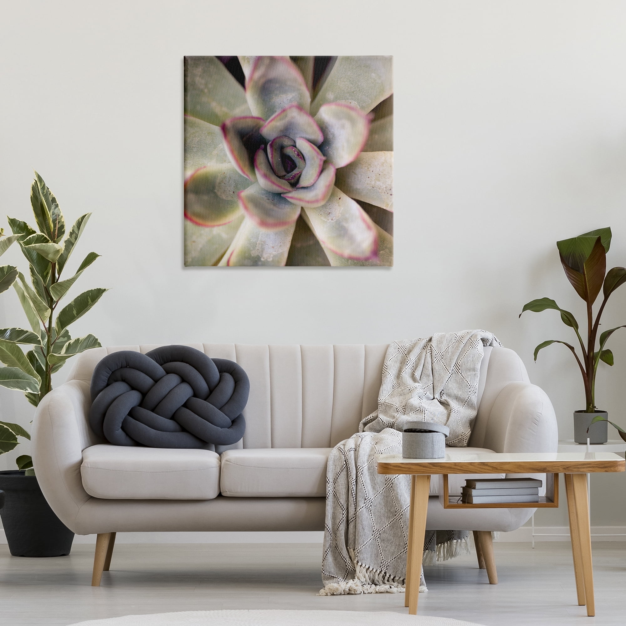 Stupell Industries Succulent Petals Pattern Plants & Flowers Photography Wrapped Canvas Art Print Wall Art, 30 x 30