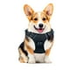 thumbnail image 1 of Pechera Arnés E-Pets Color Negro Talla Mediana Ajustable Antitirones Resistente para Paseo Entrenamiento, 1 of 4