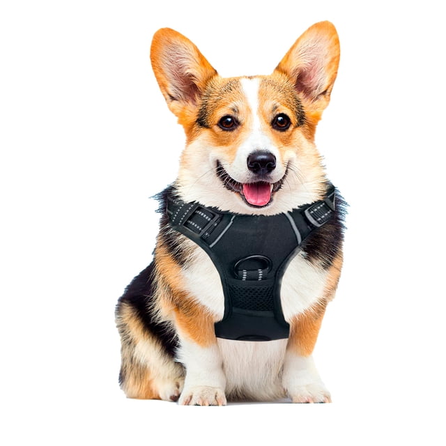 Pechera Arnés E-Pets Color Negro Talla Mediana Ajustable Antitirones Resistente para Paseo Entrenamiento