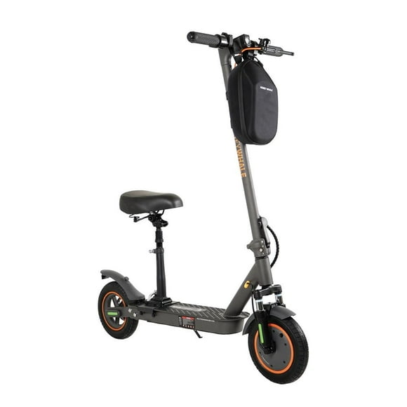 Scooter eléctrico Honey Whale M2MAXB Negro
