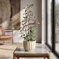 thumbnail image 2 of Metal Trellis for Climbing Plants Outdoor, Lady Silhouette Decorative Indoor Plant Support for Potted Vines Ivy Pothos, Black, 2 of 6