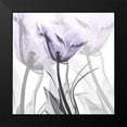 thumbnail image 2 of Koetsier, Albert 20x20 Black Modern Framed Museum Art Print Titled - Lilac Luster Tulip, 2 of 5
