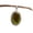 peridot, variant on Solid 925 Sterling Silver Pendant For Women Men, Natural Labradorite Blue Fire Oval Gemstone Amazing Handcrafted Jewelry For Her Him