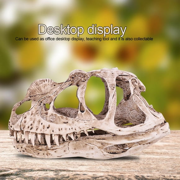 Dinosaur Skull, Resin Dinosaur Skull Model Skull Sculpture Resin Replica Head Skull SculptureFigurine Craft Teaching Prop Home Desktop Decor