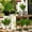 Green-Free Size/GN, variant on Artificial Colored Foliage Potted Plant Faux Leaf Tabletop Home Office Shelf Desk Decor