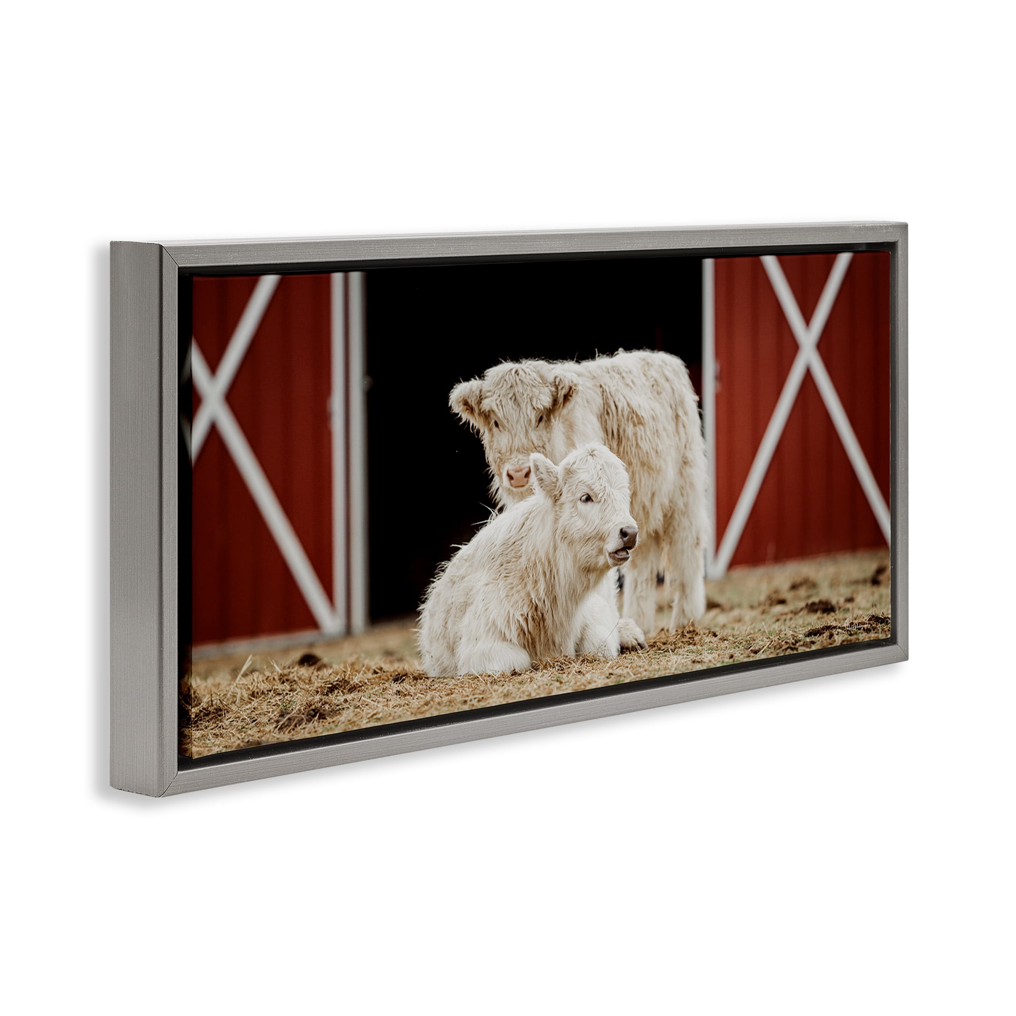 Stupell Industries White Cattle Barn Animals & Insects Photography Gray Floater Framed Canvas Art Print Wall Art, 25 x 11