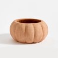 thumbnail image 4 of (2 Pack) Outdoor Pumpkin Design Flower Pots Durable Resin Garden Planter For Patio Decoration And Displaying, 4 of 7