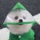 thumbnail image 3 of Zhuge Conjunto de impermeable y botas de lluvia para perros, conjunto de impermeable y botas de lluvia para perros pequeños y medianos, verde, S, 3 of 4