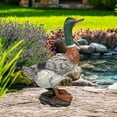 thumbnail image 1 of Design Toscano QM18989 Colvert Canard Animal Statue de Jardin, 13 Pouces, Polyrésine, Couleur, 1 of 6