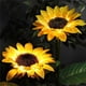 thumbnail image 5 of Paquete de 4 Luces Solares de Girasol para Exteriores, Impermeables, Luz LED Solar, Luz de Paisaje para Césped, Patio, Camino, Decoración de Jardín, 5 of 5