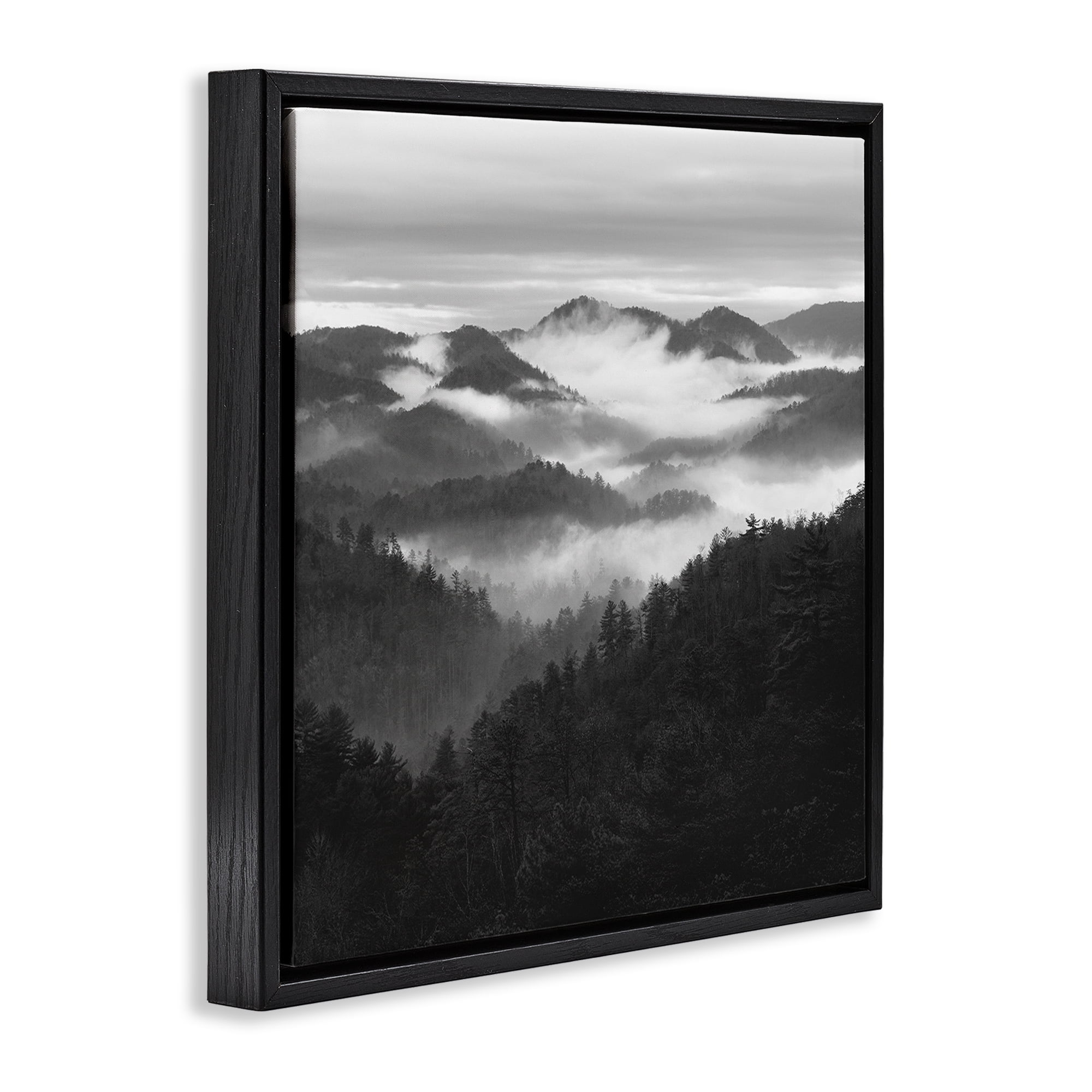 Stupell Industries Smoky Mountains Forest Black Framed Floater Canvas Wall Art, design by Nicholas Bell