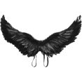 thumbnail image 1 of Angel Wings Cosplay Wings Halloween Costume Wings Black White Feather Wing With Adjustable Straps, 1 of 5