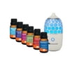 GuruNanda Honeycomb Aromatherapy Essential Oil Diffuser & Top 6 Essential Oil Blends Pack