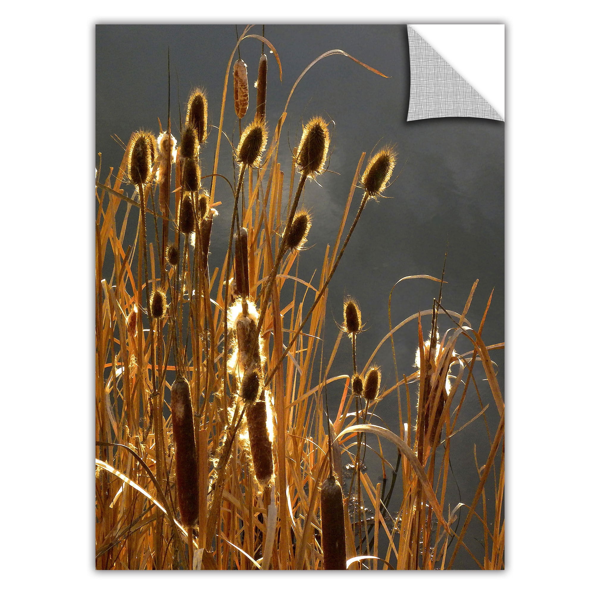Dean Uhlinger "Cattails And Storm Light" Removable Wall Art