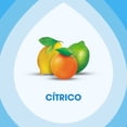 thumbnail image 4 of Limpiador multisuperficies Pledge líquido aroma cítrico 500 ml, 4 of 4
