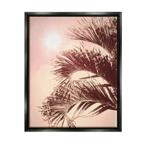 Stupell Industries Pink Sunlit Palm Fronds Botanical & Floral Photography Black Floater Framed Art Print Wall Art, 25 x 31