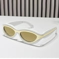 thumbnail image 5 of Cat Eye Sunglasses For Women Retro Oval Frame Style Sun Glasses Fashion Accessories, 5 of 5