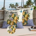 thumbnail image 2 of Vintage Lemons Outdoor Pillow Covers Pack of 2 Fruit Leaves Art Beige Blue Geometric Pattern Waterproof Throw Pillow Covers Decorative Cushion Cases for Patio Garden Tent Balcony Couch 18x18 inch, 2 of 9