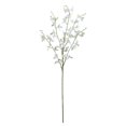 thumbnail image 1 of Vickerman FC180811 35 in. Mini White Dancing Orchid Spray, 1 of 3