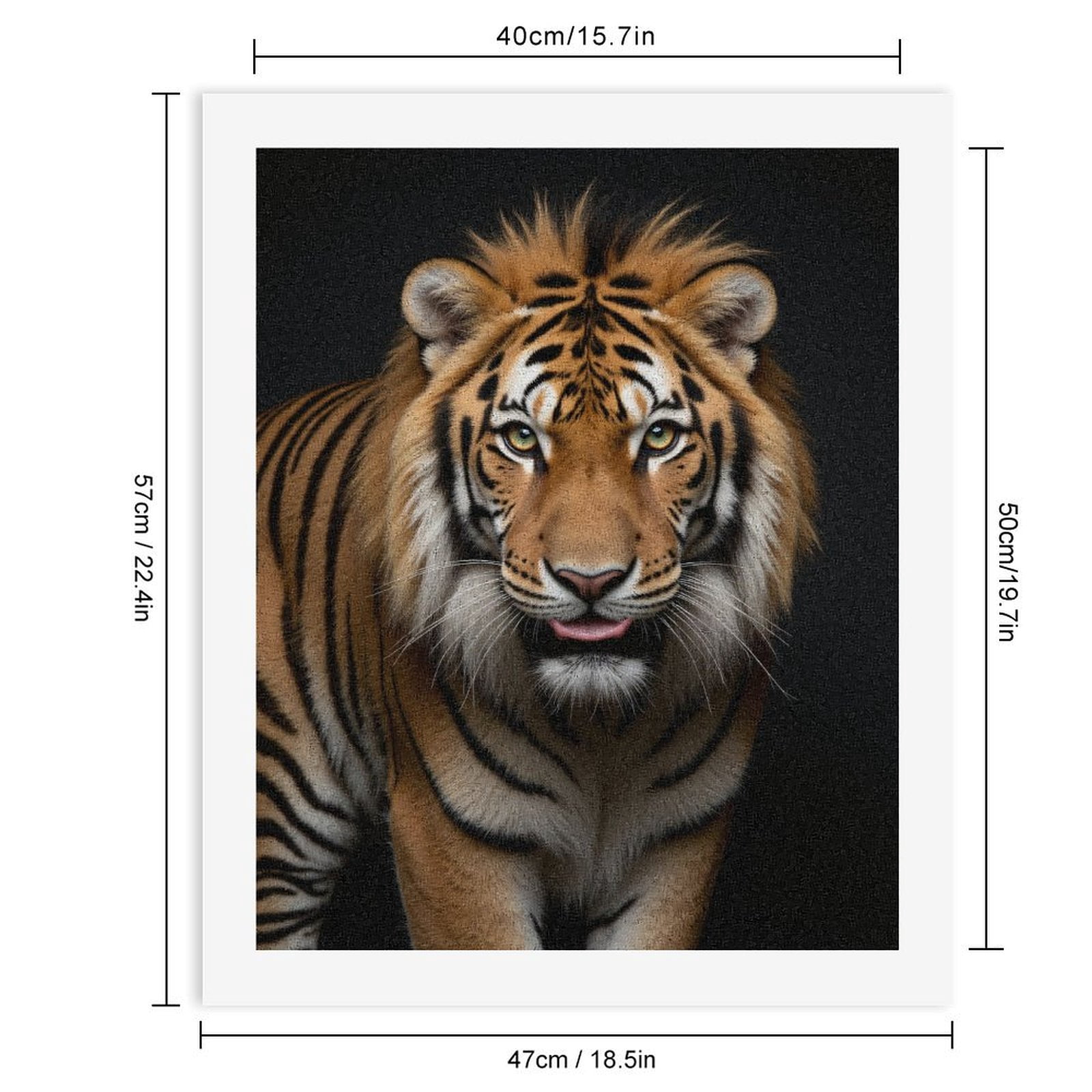 Paint by Numbers Kit for Adults, Majestic Bengal Tiger Portrait Paint by Numbers, Easy Paint by Numbers Kit for Adults Beginner, DIY Adult Paint by Number Kits on Canvas, Home Decor