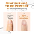 thumbnail image 6 of modelones Nail Strengthener Clear Nail Polish Repair for Damaged Nail Hardener Extra Strong and Growth Crystal Clear 15ml, 6 of 10