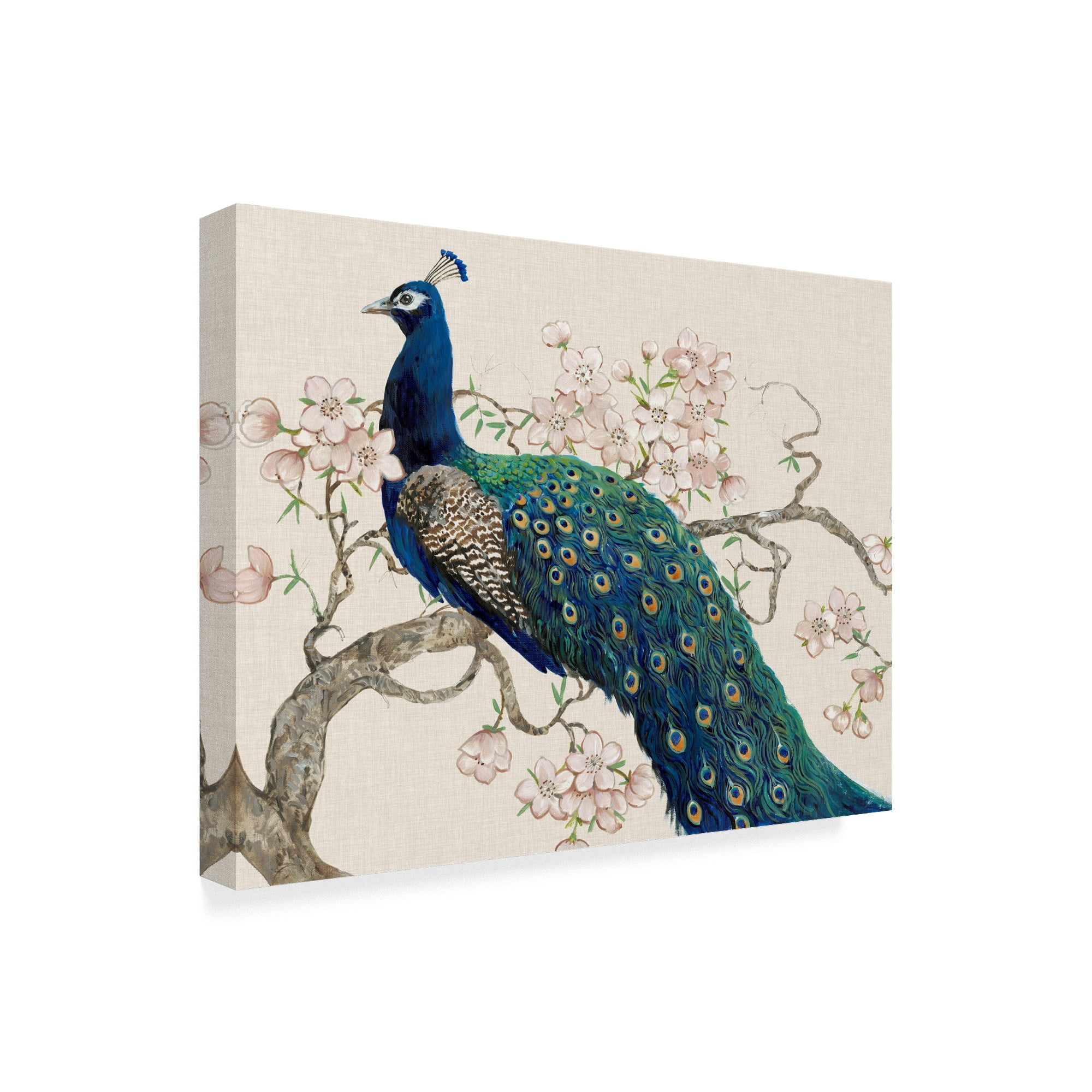 Trademark Fine Art 'Peacock And Blossoms II' Canvas Art by Tim OToole