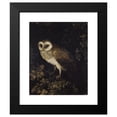 thumbnail image 2 of Moses Haughton 12x14 Black Modern Framed Museum Art Print Titled - An Owl (1780-1790), 2 of 5