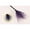 🔥 Purple_New, variant on KITTEHIGM Halloween Witch Flying Broomstick Costume Prop Halloween Party Dance Dress Up Accessory for Adults with Realistic Design and Lightweight Material
