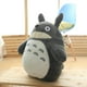 thumbnail image 5 of Añadir A La Lista De Deseos Totoro Peluche Gato Lindo Juguete Figura De Anime Muñeca Con Hoja De Loto Niños Cumpleaños Regalo De Navidad Juguetes, 5 of 5