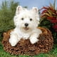 thumbnail image 2 of Cuadros Decorativos Pintura de diamante 5D DIY Kits de perro West Highland taladro Ehuebsd cuadrado completo decoración de pared arte, 2 of 8