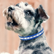 thumbnail image 4 of Correas para collares de perros, correas clásicas para collares de perros pequeños, medianos y grandes de todas las razas, 4 of 5