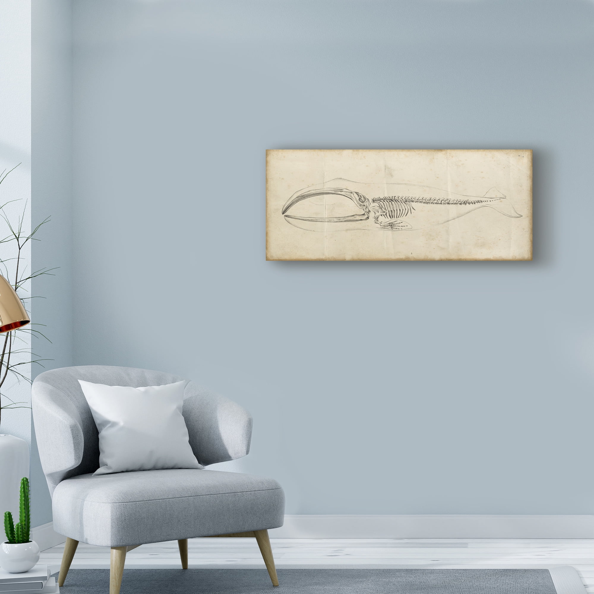 Trademark Fine Art 'Whale Study I' Canvas Art by Ethan Harper