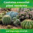 thumbnail image 5 of Down to Earth Organic Cactus & Succulent Fertilizer 2-4-8, 5 lb, 5 of 7