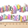 thumbnail image 4 of Dyed Natural Trochus Shell Beads Strands Mixed Color 9~21x5~7x6~8mm Hole: 1.2mm about 54~67pcs/strand 14.76~15.24 inch(37.5~38.7cm), 4 of 4