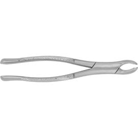 Dental Extracting Forceps #17