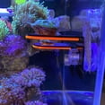 thumbnail image 1 of Tanque de peces Fluorescencia Coral Frag Rack Acuario Arrecife con soporte de enchufe (naranja), 1 of 8