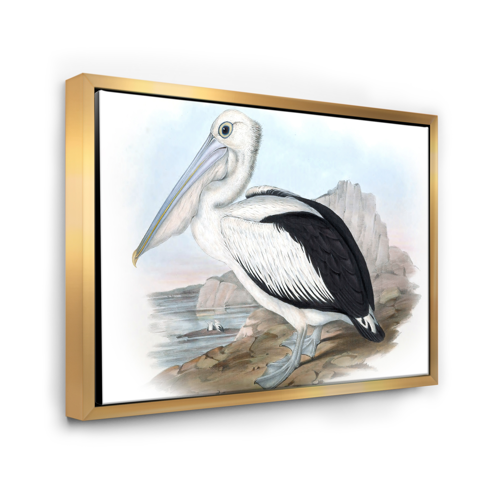 Designart 'Ancient Australian Birds VIII' Traditional Framed Canvas Wall Art Print