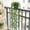 GN3, variant on QWUIIOMJPY Artificial Flowers-Artificial Hanging Vine Plant With Pot Potted Trailing Greenery Simulation Suspended Decor For Home Wall Room Indoor Decoration