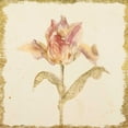 thumbnail image 2 of Blum, Cheri 15x15 White Modern Wood Framed Museum Art Print Titled - Vintage Zoomer Schoon Tulip Crop, 2 of 4
