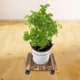 thumbnail image 5 of Bandeja rodante para maceta, Base de carro de madera móvil para plantas con polea de rodillo, rueda Universal, herramientas de jardinería, 25,5x25,5 cm, 5 of 8