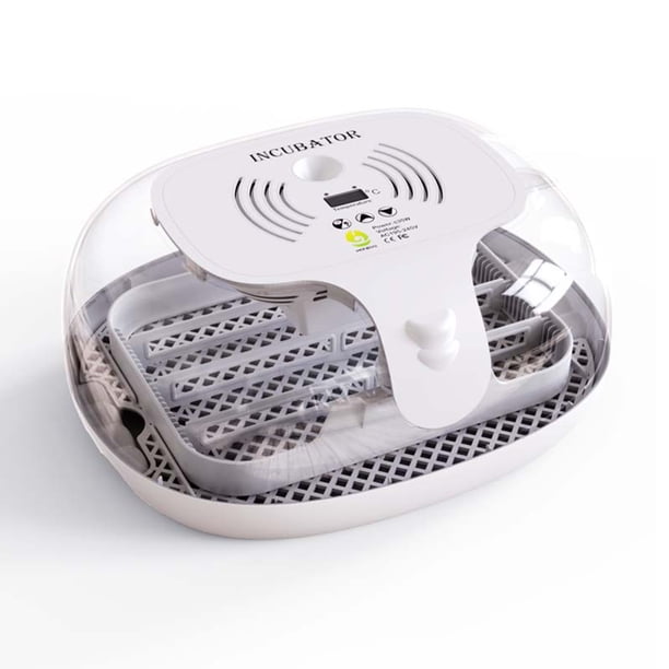 Incubadora para huevos para incubar Giro automático de huevos Bandeja multifuncional para huevos Cubierta transparente Vela LED para huevos dirigida a criadores de aves de corral