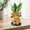A, variant on LmnLft Resin Cow Figurine with Sunflower Pot - Spring Summer Home Garden Decor, Calf Lover Gift for Kitchen Office Desk