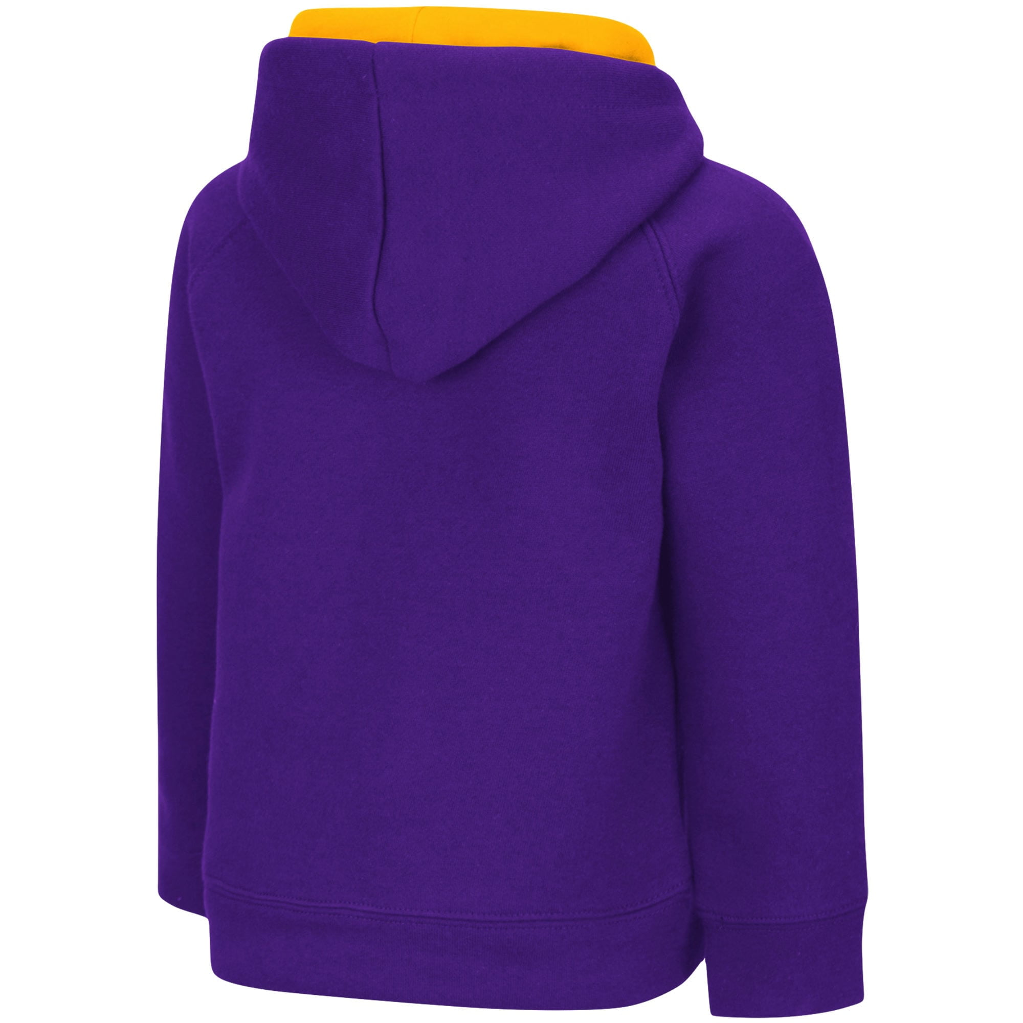 polar hoodie purple