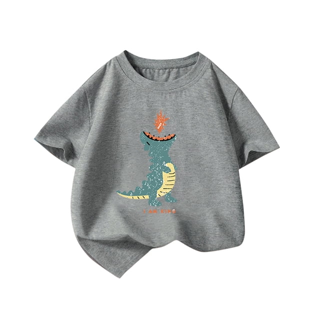 Gibobby Blusa Termica Camiseta para niños pequeños y niñas, camiseta de dibujos animados, regalo del Día de la , camiseta de moda para niños, camiseta para niños, camiseta div(Gris, 3-4 Años)
