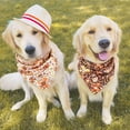 thumbnail image 5 of Fall Flowers Dog Bandanas Reversible Small 2 Pack, Autumn Thanksgiving Harvest Floral Adjustable Triangle Scarves for Small Medium Large Extra Large Dogs Pets, 5 of 6