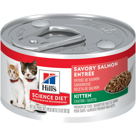 (24 Pack) Hill's Science Diet Kitten Savory Salmon Entree Wet Cat Food, 2.9 oz. (Best Rated Canned Kitten Food)
