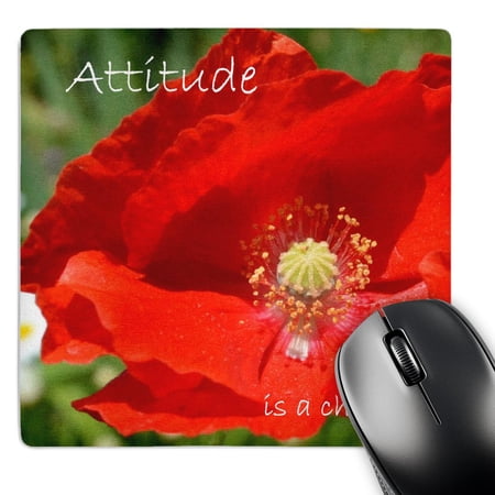 3dRose  Inspirational Attitude Poppy  MousePad price history on PriceWatchPro