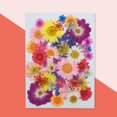 thumbnail image 2 of Flores secas naturales Artesanía en relieve Ramos de flores prensadas Decoraciones florales secas Regalos de suministro de hogar para tarjetas de boda Vela primavera Scienceny HA010752-02, 2 of 7