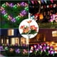 thumbnail image 5 of El jardín al aire libre de las luces solares, el jardín solar enciende la lámpara solar llevada cambiante multicolora al aire libre de la flor, 5 of 5